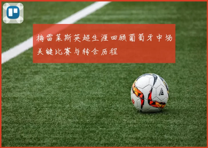 梅雷莱斯英超生涯回顾葡萄牙中场关键比赛与转会历程