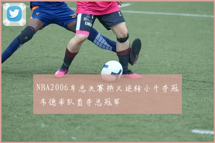 NBA2006年总决赛热火逆转小牛夺冠 韦德率队首夺总冠军